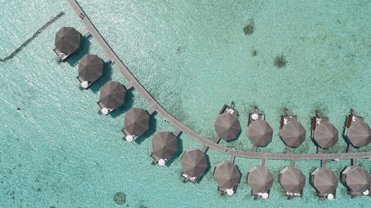 Safari Island